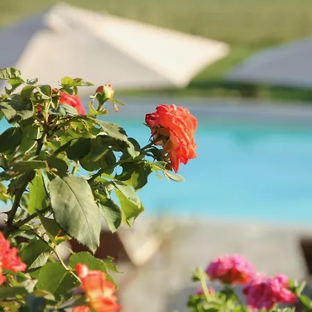 La Mura - Luxury Pool By The Vineyard *